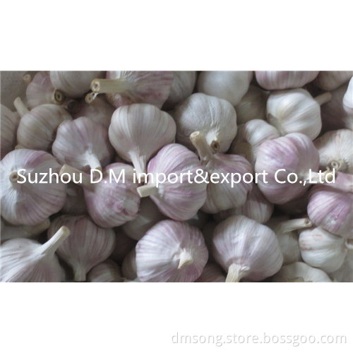 Health benefit garlic from China